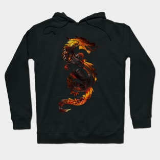 Dragon Premium 3D look Fire Background Zodiac sign Hoodie